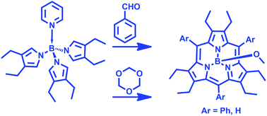 Graphical abstract: Hexaethylsubporphyrins: β-alkyl analogues in the subporphyrin family