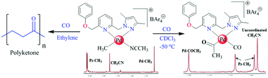 Graphical abstract: Effect of chalcogens on CO insertion into the palladium–methyl bond of [(N^N^X)Pd(CH3)]+ (X = O, S, Se) and on CO/ethylene copolymerisation