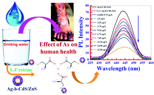 Graphical abstract: Fluorometric sensing of ultralow As(iii) concentrations using Ag doped hollow CdS/ZnS bi-layer nanoparticles