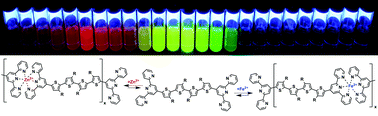 Graphical abstract: Alcohol- and water-soluble bis(tpy)quaterthiophenes with phosphonium side groups: new conjugated units for metallo-supramolecular polymers