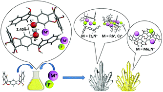 Graphical abstract: Selective recognition of fluoride salts by vasarenes: a key role of a self-assembled in situ dimeric entity via an exceptionally short [O–H–O]− H-bond