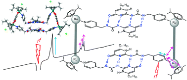 Graphical abstract: NMR spectroscopy and DFT calculations of a self-assembled arene ruthenium rectangle obtained from a combination of coordination and hydrogen bonds