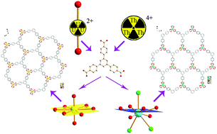 Graphical abstract: Surprising coordination for low-valent actinides resembling uranyl(vi) in thorium(iv) organic hybrid layered and framework structures based on a graphene-like (6,3) sheet topology