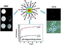 Graphical abstract: Optimization of upconversion luminescence of Nd3+-sensitized BaGdF5-based nanostructures and their application in dual-modality imaging and drug delivery