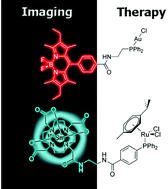 Graphical abstract: Development of trackable metal-based drugs: new generation of therapeutic agents