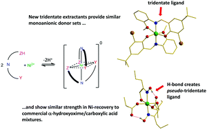 Graphical abstract: Preorganized tridentate analogues of mixed hydroxyoxime/carboxylate nickel extractants