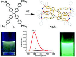 Graphical abstract: A luminescent silver–phosphine tetragonal cage based on tetraphenylethylene