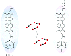 Graphical abstract: A linear fluorescence-quenching response in an amidine-functionalised solid-state sensor for gas-phase and aqueous CO2 detection