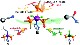 Graphical abstract: Ru(ii)-dmso complexes containing azole-based ligands: synthesis, linkage isomerism and catalytic behaviour