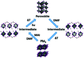 Graphical abstract: Identification and characterization of the intermediate phase in hybrid organic–inorganic MAPbI3 perovskite