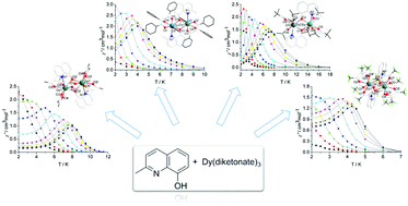 Graphical abstract: A series of dinuclear Dy(iii) complexes bridged by 2-methyl-8-hydroxylquinoline: replacement on the periphery coordinated β-diketonate terminal leads to different single-molecule magnetic properties