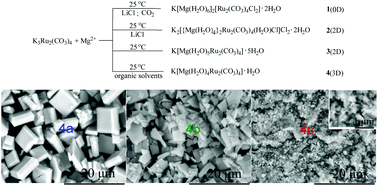 Graphical abstract: Chlorine and temperature directed self-assembly of Mg–Ru2(ii,iii) carbonates and particle size dependent magnetic properties