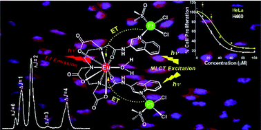 Graphical abstract: A luminescent europium(iii)–platinum(ii) heterometallic complex as a theranostic agent: a proof-of-concept study