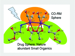 Graphical abstract: Photo-activated CO-releasing molecules (PhotoCORMs) of robust sawhorse scaffolds [μ2-OOCR1, η1-NH2CHR2(C [[double bond, length as m-dash]] O] OCH3, Ru(i)2CO4]