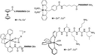 Graphical abstract: Peptide-mediated vectorization of metal complexes: conjugation strategies and biomedical applications