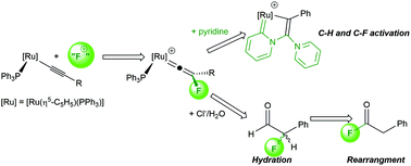 Graphical abstract: Access to novel fluorovinylidene ligands via exploitation of outer-sphere electrophilic fluorination: new insights into C–F bond formation and activation