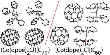 Graphical abstract: Charge transfer complexes of fullerenes containing C60˙− and C70˙− radical anions with paramagnetic CoII(dppe)2Cl+ cations (dppe: 1,2-bis(diphenylphosphino)ethane)