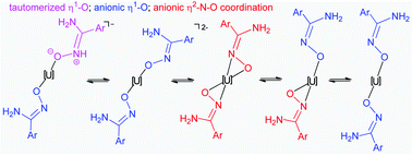 Graphical abstract: Density functional theory investigations on the binding modes of amidoximes with uranyl ions