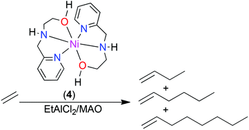 Graphical abstract: Ethylene oligomerization studies by nickel(ii) complexes chelated by (amino)pyridine ligands: experimental and density functional theory studies