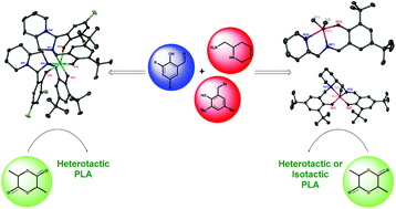 Graphical abstract: Aminopiperidine based complexes for lactide polymerisation