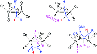 Graphical abstract: Insertion and C–C coupling processes in reactions of the unsaturated hydride [W2Cp2(H)(μ-PCy2)(CO)2] with alkynes