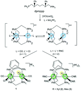 Graphical abstract: Oxidative addition of an aromatic ortho C–H bond of tetraphosphine to asymmetric diiridium(i) centres