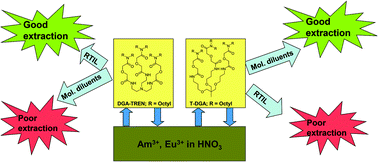 Graphical abstract: Unique selectivity reversal in Am3+–Eu3+ extraction in a tripodal TREN-based diglycolamide in ionic liquid: extraction, luminescence, complexation and structural studies