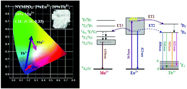 Graphical abstract: Luminescence and energy transfer properties of novel Na2.5Y0.5Mg7(PO4)6: R (R = Eu2+, Tb3+ and Mn2+) phosphors