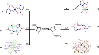 Graphical abstract: Highly efficient electrochemiluminescence based on pyrazolecarboxylic metal organic framework