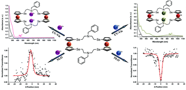 Graphical abstract: Macrocyclic Se4N2[7,7]ferrocenophane and Se2N[10]ferrocenophane containing benzyl unit: synthesis, complexation, crystal structures, electrochemical and optical properties