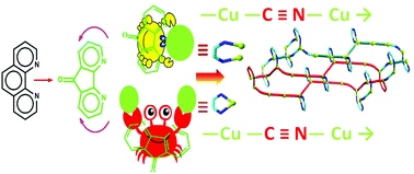 Graphical abstract: An unprecedented 2D copper(i)–cyanide complex with 20-membered metal rings: the effect of the co-ligand 4,5-diazafluoren-9-one