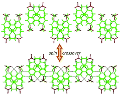 Graphical abstract: Structural insights into the counterion effects on the manganese(iii) spin crossover system with hexadentate Schiff-base ligands