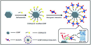 Graphical abstract: Drug delivery function of carboxymethyl-β-cyclodextrin modified upconversion nanoparticles for adamantine phthalocyanine and their NIR-triggered cancer treatment
