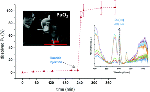 Graphical abstract: Ultrasound-assisted reductive dissolution of CeO2 and PuO2 in the presence of Ti particles