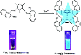 Graphical abstract: A highly selective, sensitive and reversible fluorescence chemosensor for Zn2+ and its cell viability