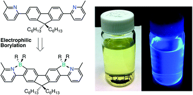 Graphical abstract: Luminescent organoboron ladder compounds via directed electrophilic aromatic C–H borylation