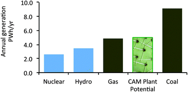 Graphical abstract: The potential of CAM crops as a globally significant bioenergy resource: moving from ‘fuel or food’ to ‘fuel and more food’