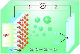 Graphical abstract: A solution-processed, mercaptoacetic acid-engineered CdSe quantum dot photocathode for efficient hydrogen production under visible light irradiation