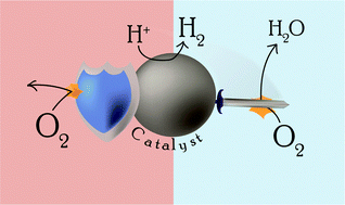 Graphical abstract: Oxygen-tolerant proton reduction catalysis: much O2 about nothing?