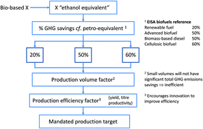 Graphical abstract: Balancing the bioeconomy: supporting biofuels and bio-based materials in public policy