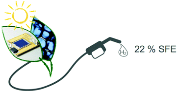 Graphical abstract: Renewable fuels from concentrated solar power: towards practical artificial photosynthesis