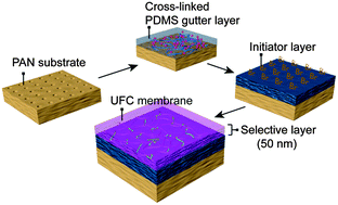 Graphical abstract: A novel cross-linked nano-coating for carbon dioxide capture