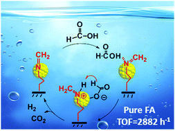 Graphical abstract: A Schiff base modified gold catalyst for green and efficient H2 production from formic acid