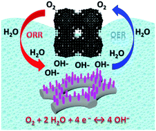 Graphical abstract: Hierarchical pore-in-pore and wire-in-wire catalysts for rechargeable Zn– and Li–air batteries with ultra-long cycle life and high cell efficiency