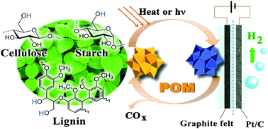 Graphical abstract: High efficiency hydrogen evolution from native biomass electrolysis