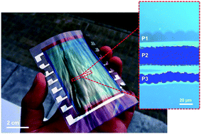 Graphical abstract: Highly efficient, large area, roll coated flexible and rigid OPV modules with geometric fill factors up to 98.5% processed with commercially available materials