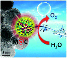 Graphical abstract: Single layer graphene encapsulating non-precious metals as high-performance electrocatalysts for water oxidation