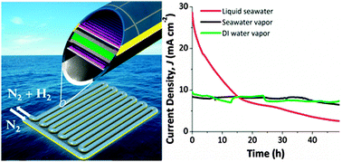 Graphical abstract: Solar hydrogen production from seawater vapor electrolysis