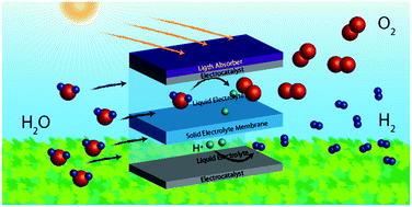 Graphical abstract: Mass transport aspects of electrochemical solar-hydrogen generation