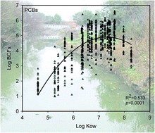 Graphical abstract: Bioconcentration and trophic transfer of polychlorinated biphenyls and polychlorinated dibenzo-p-dioxins and dibenzofurans in aquatic animals from an e-waste dismantling area in East China